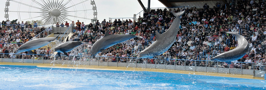 Marineland Antibes